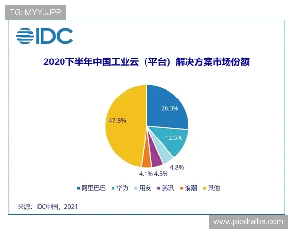 探究开云真人的起源地，分析其所在地区的经济环境和行业资源对品牌发展的促进作用